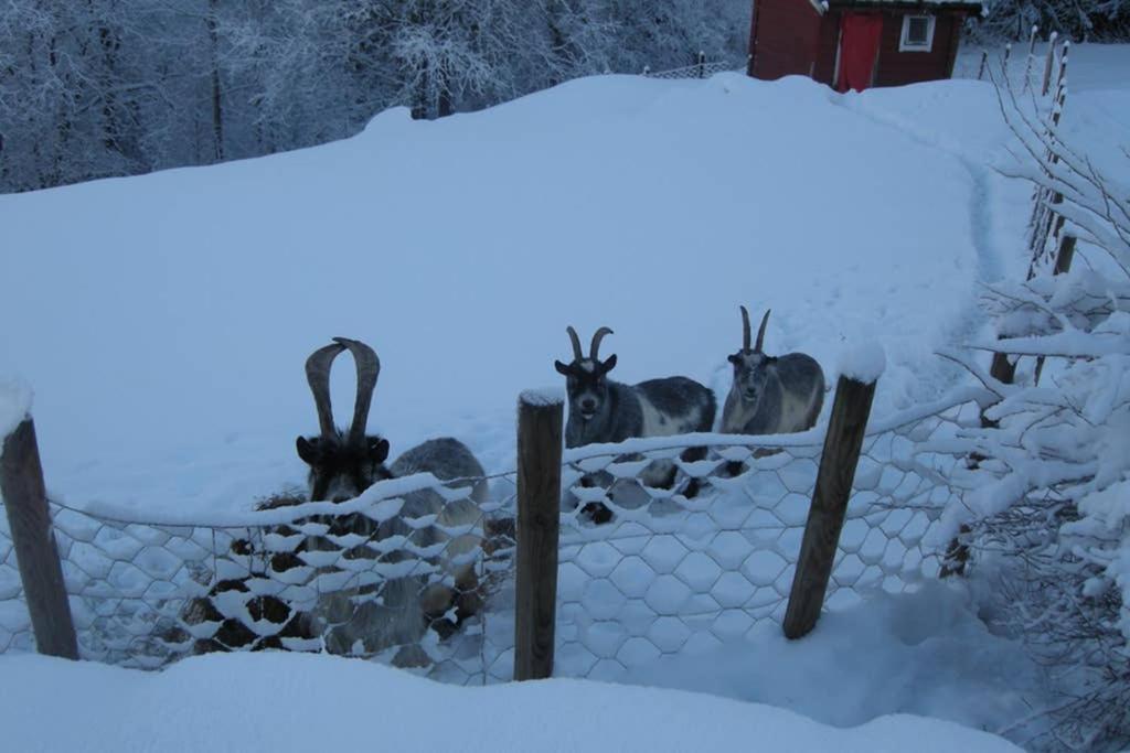 Skjerping Gardshus, Villa Lonevag Bagian luar foto